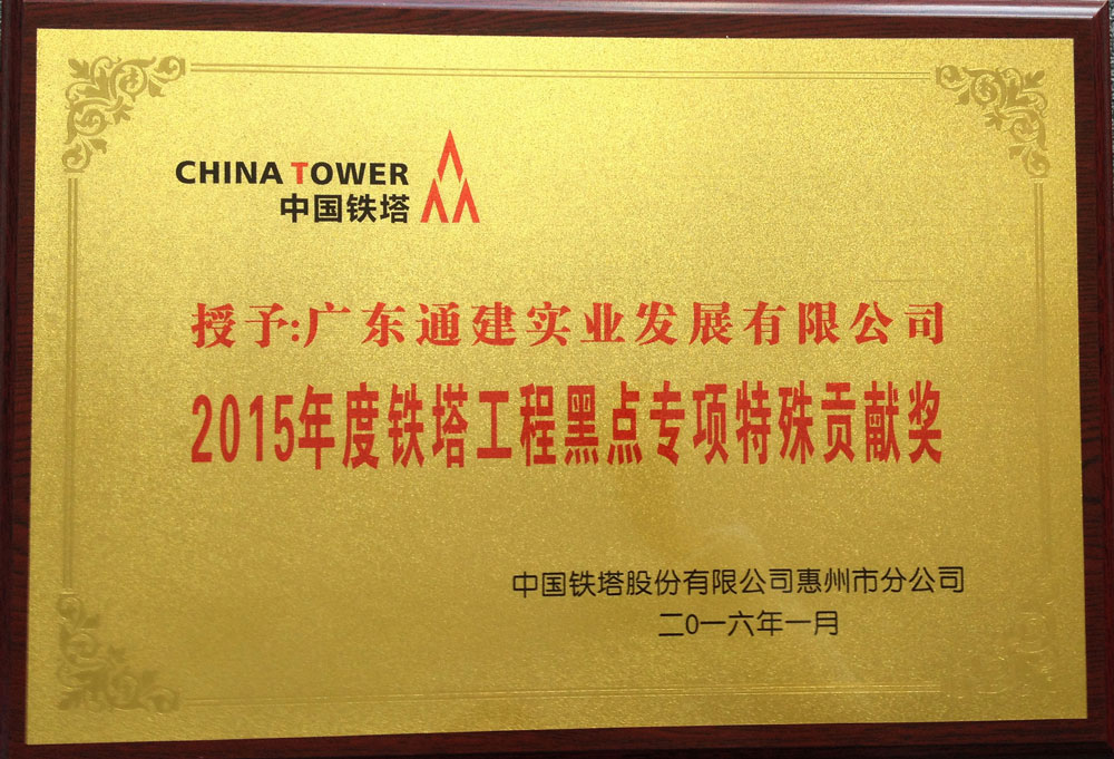 2015年度鐵塔工程黑點專項特殊貢獻(xiàn)獎