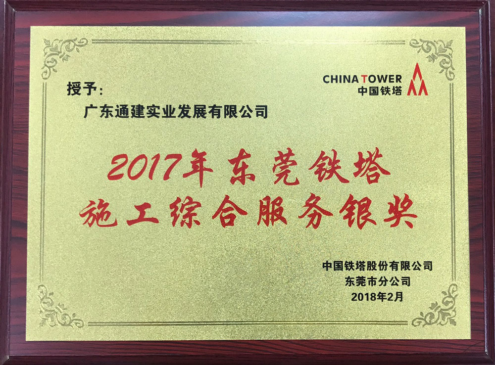 2017年東莞鐵塔施工綜合服務(wù)銀獎